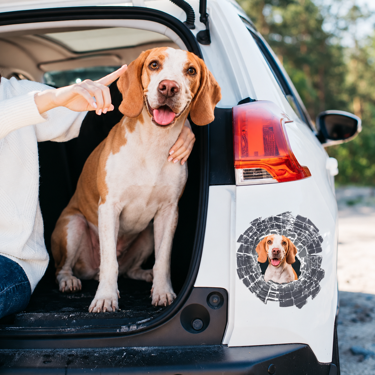 Autocollant de voiture personnalisé - Photo qui dépasse pour vitre