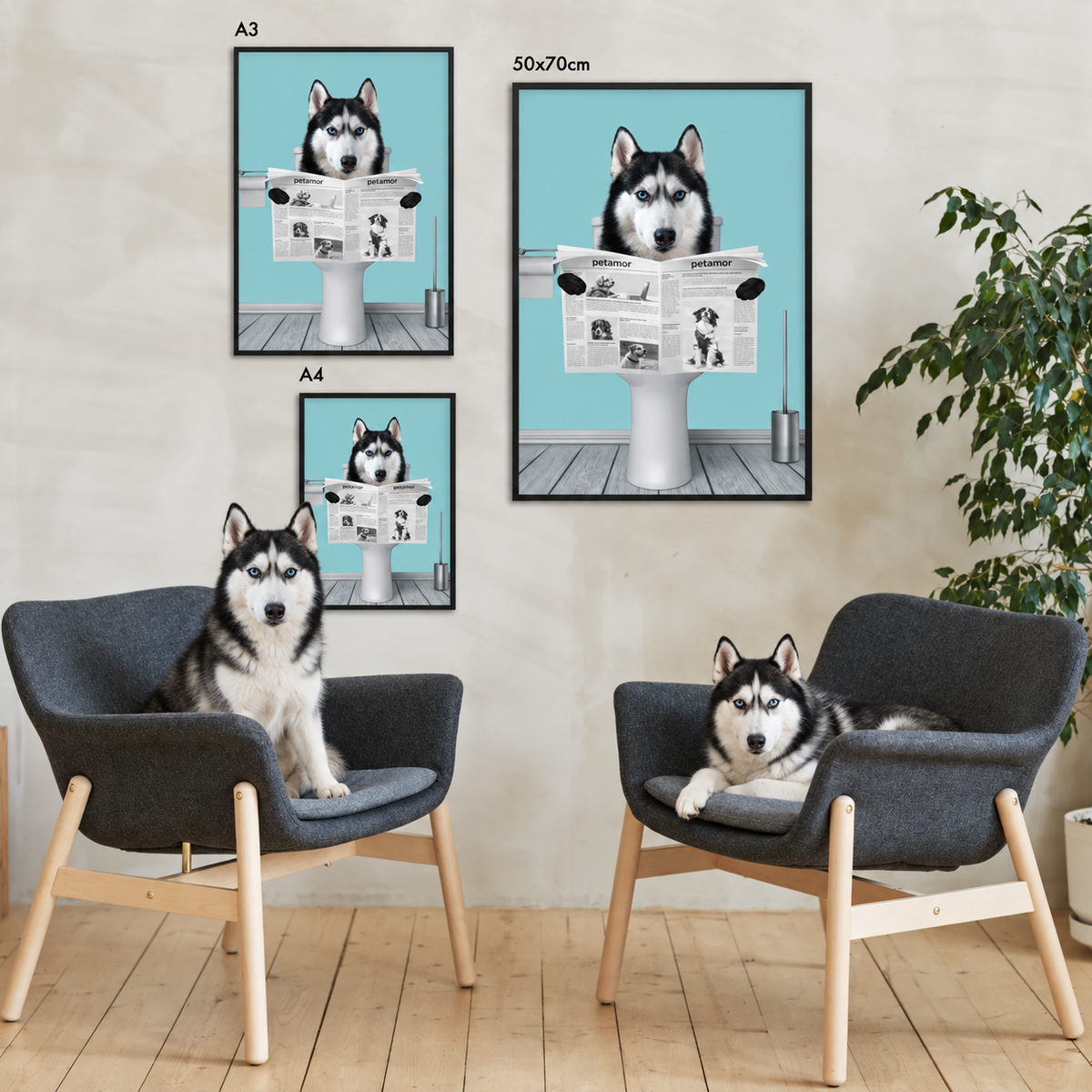 Trois posters personnalisés d'un husky lisant le journal dans des cadres noirs. Chaises et plante en arrière-plan.