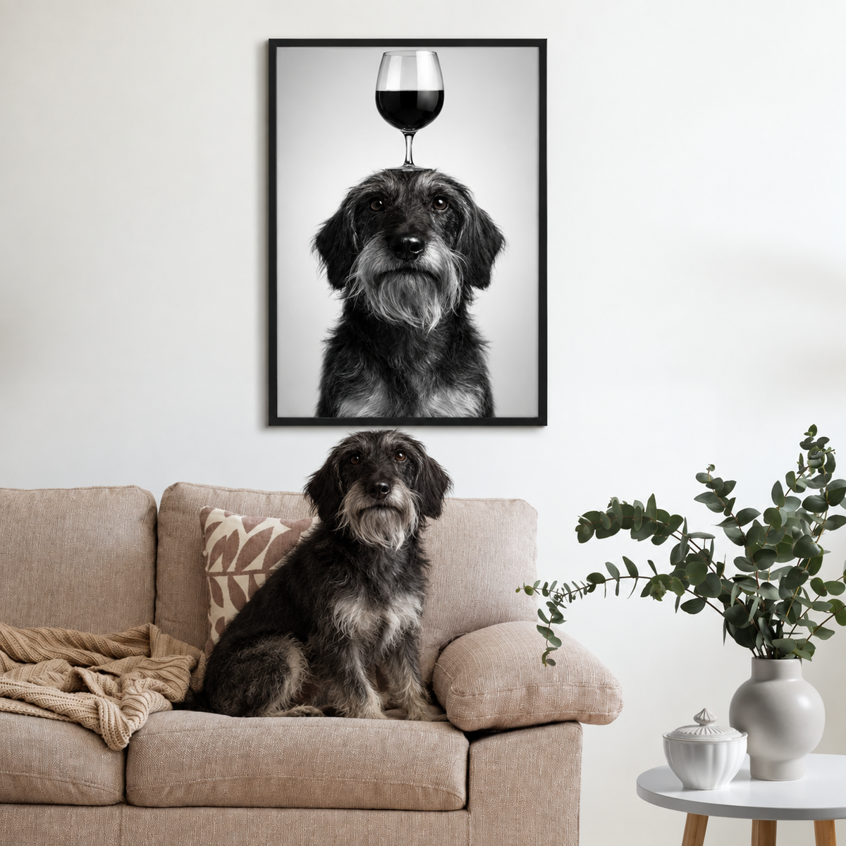 Poster noir et blanc d'un chien avec un verre à vin sur la tête, encadré au-dessus d'un canapé avec coussins et plantes.