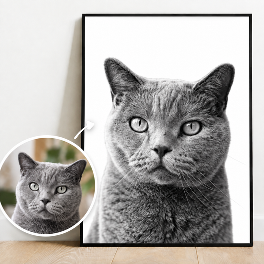 Poster personnalisé avec portrait de chat gris en noir et blanc. Avec une plus petite image en couleur.