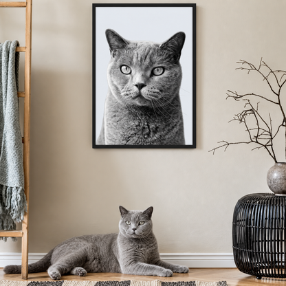 Portrait d'animal gris encadré, un chat gris couché par terre à côté. Intérieur minimaliste.