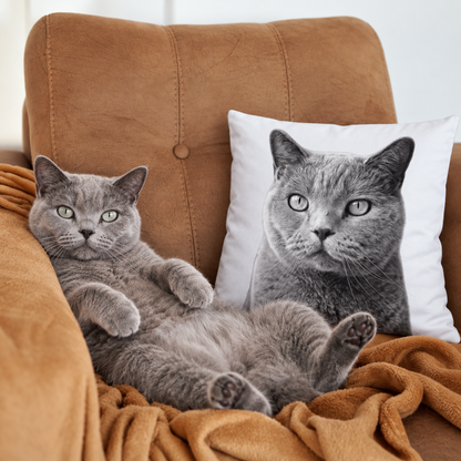 Portrait de chat sur coussin, coussin gris avec photo de chat imprimée, à côté d'un chat sur un canapé.