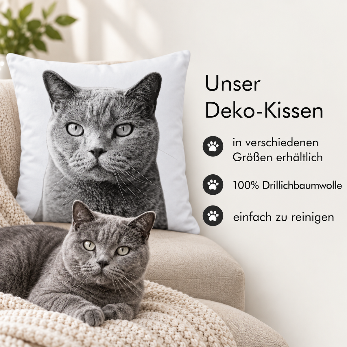 Coussin avec portrait d'animal gris et un vrai chat gris sur un fauteuil douillet.