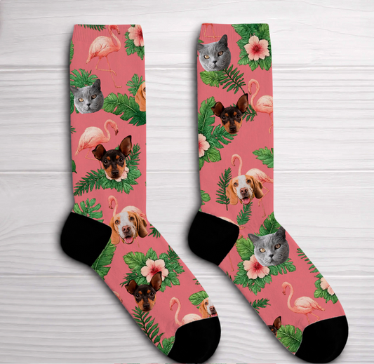 Personalisierte Socken - Paradisvogel