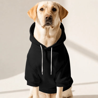 Sweat à capuche noir pour chien avec cordon, porté par un chien sur fond clair.