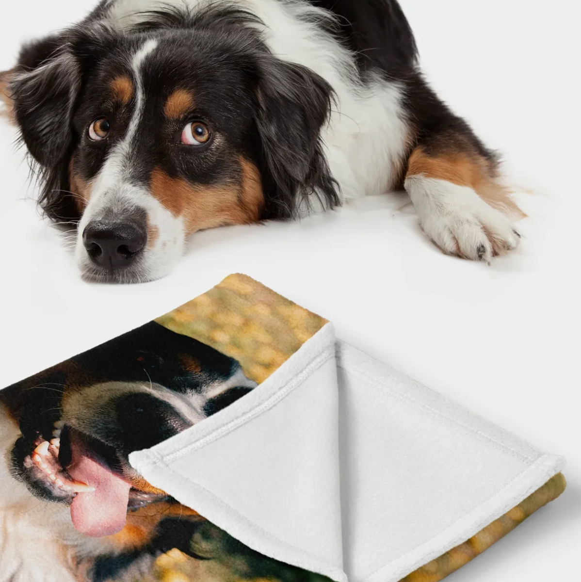 Couverture personnalisée avec photo de chien, en matière douce, une face à texture moelleuse visible.