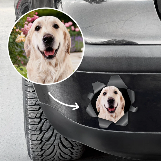 Autocollant de voiture personnalisé avec photo de chien qui regarde à travers un effet déchiré.
