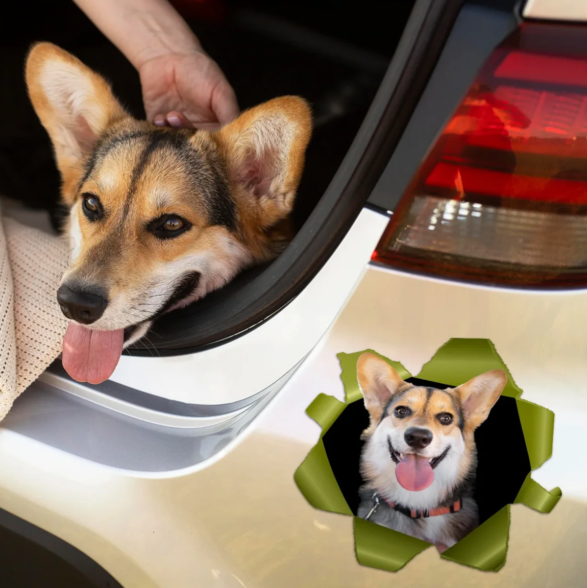 Autocollant de voiture personnalisé avec motif de chien, montrant un corgi souriant dans une ouverture.