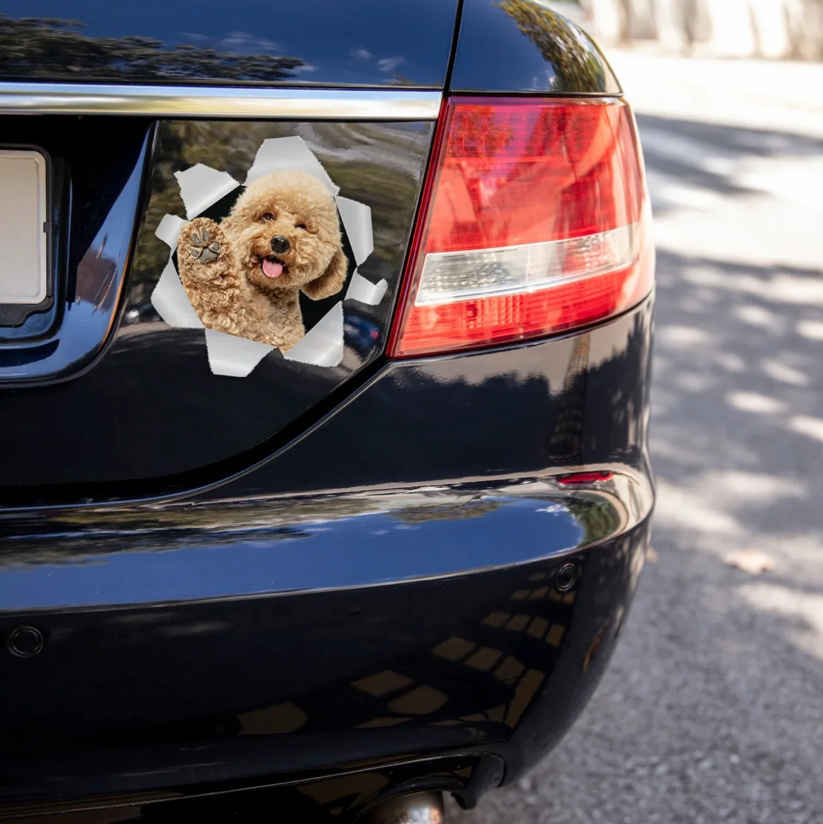 Autocollant de voiture avec un chien regardant à travers une fissure dans un mur gris, sur une voiture noire.