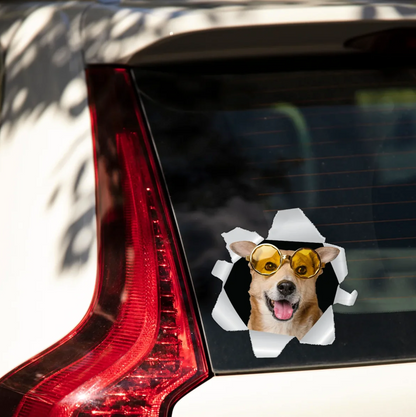 Autocollant de voiture personnalisé avec un chien à lunettes de soleil regardant par une fenêtre déchirée.