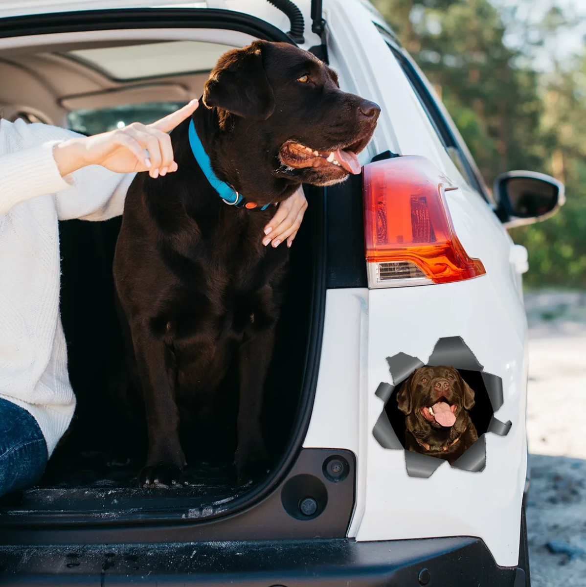 Autocollant de voiture personnalisé - Photo qui dépasse