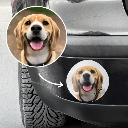 Autocollant de voiture personnalisé avec photo d'un beagle et l'inscription "Bau".