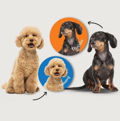 Chiens de différentes couleurs et poses, entourés d'autocollants ronds avec des noms sur fond coloré.