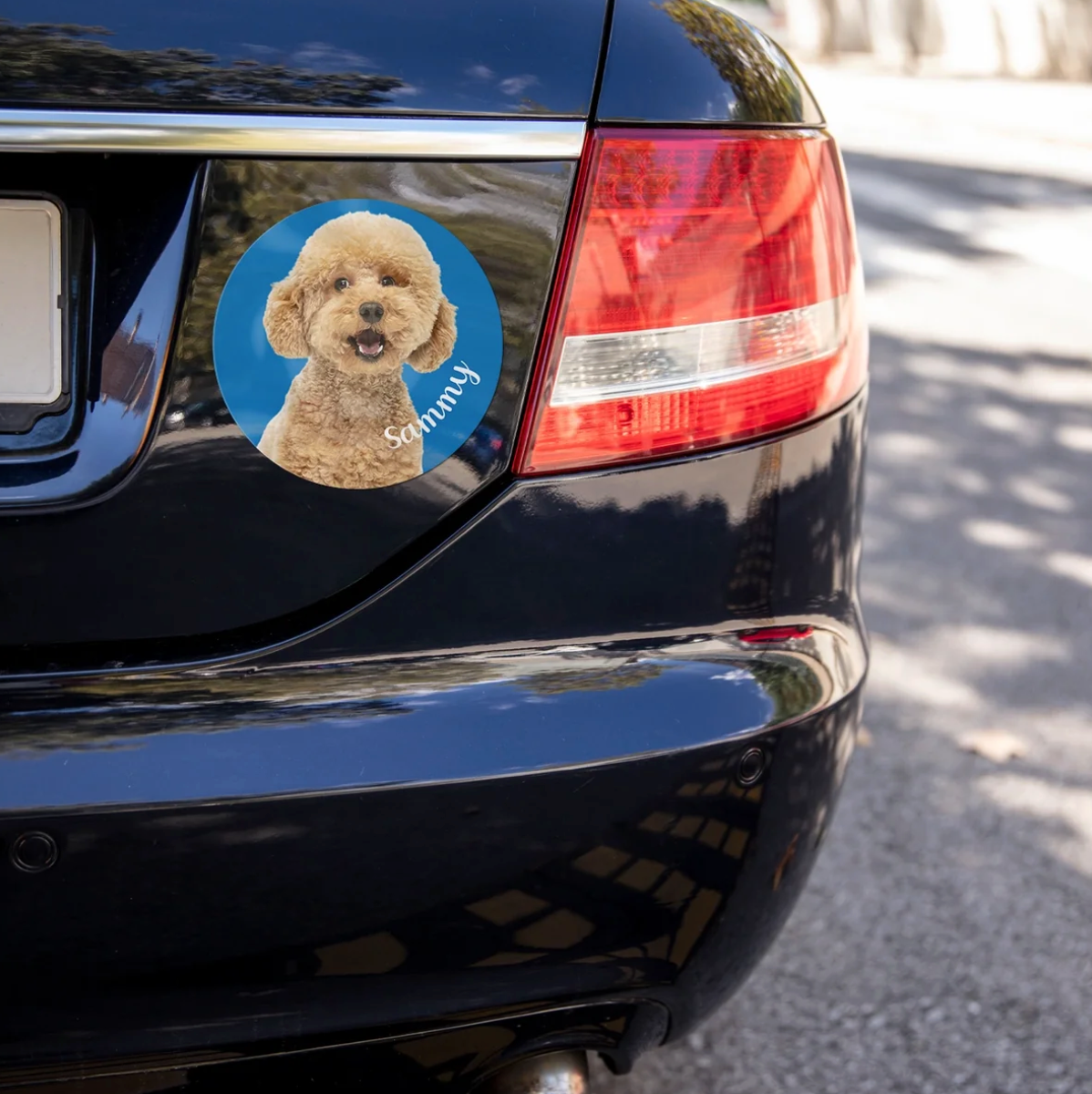 Autocollant de voiture avec photo de chien et le nom "Sammy" sur un véhicule noir.