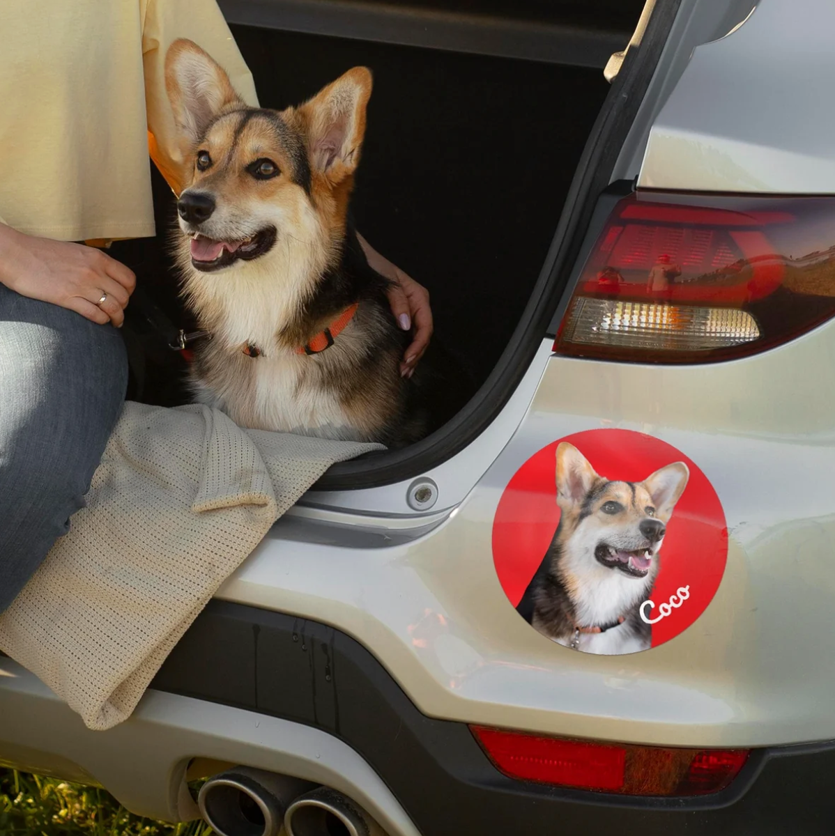 Autocollant de voiture avec photo d'un chien sur le hayon d'une voiture.