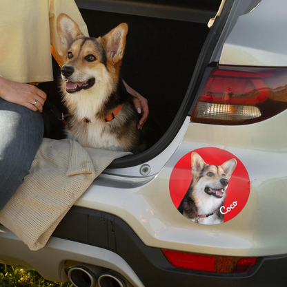 Autocollant de voiture avec photo d'un chien sur le hayon d'une voiture.