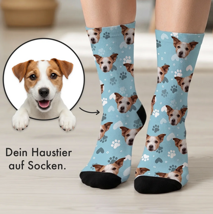 Chaussettes colorées avec motif de chien sur fond bleu et pied noir. Personnalisables avec photo d'animal.