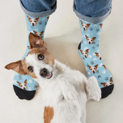 Chaussettes personnalisées avec motif de chien sur fond bleu clair et un chien couché par terre.