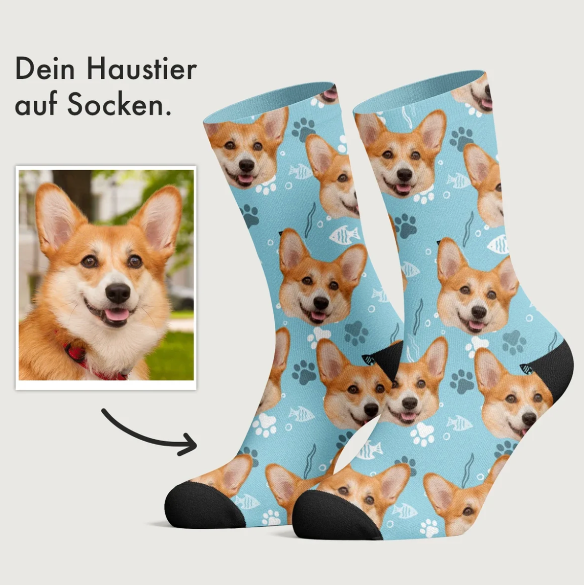 Chaussettes personnalisées de couleur bleue à motif de corgis.