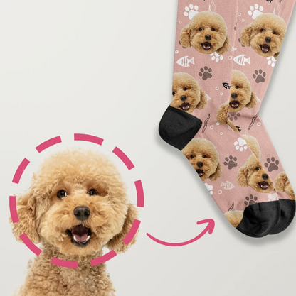 Chaussettes personnalisées avec photo d'un chien sur fond rose et bord noir.