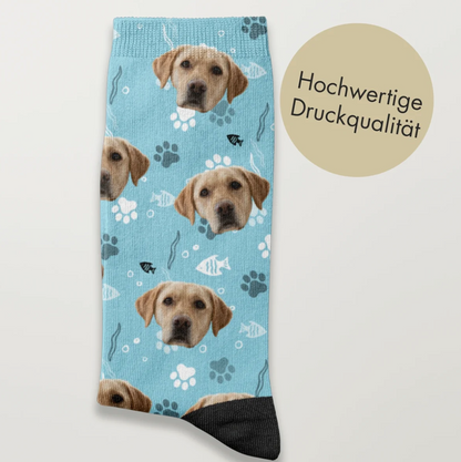 Chaussettes bleues avec motif de chien et empreintes de pattes, impression de haute qualité.