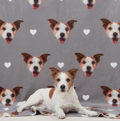 Couverture pour animal grise personnalisée avec têtes de chiens et cœurs, animal couché au premier plan.