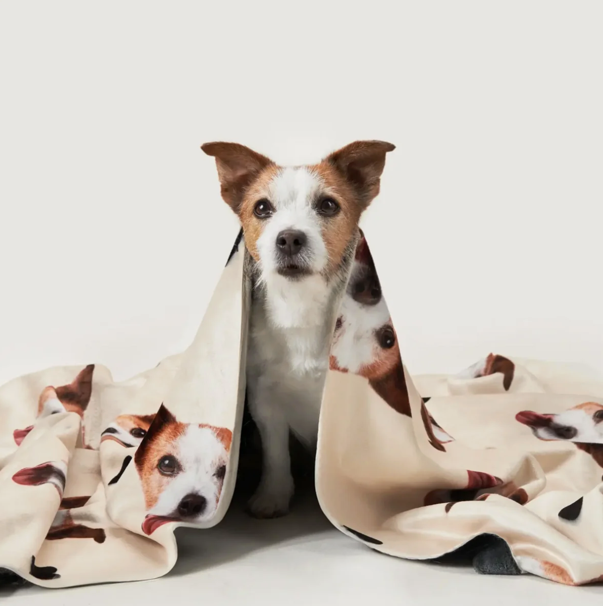Couverture pour animal avec têtes d'animaux enveloppant un chien, beige avec imprimé coloré.