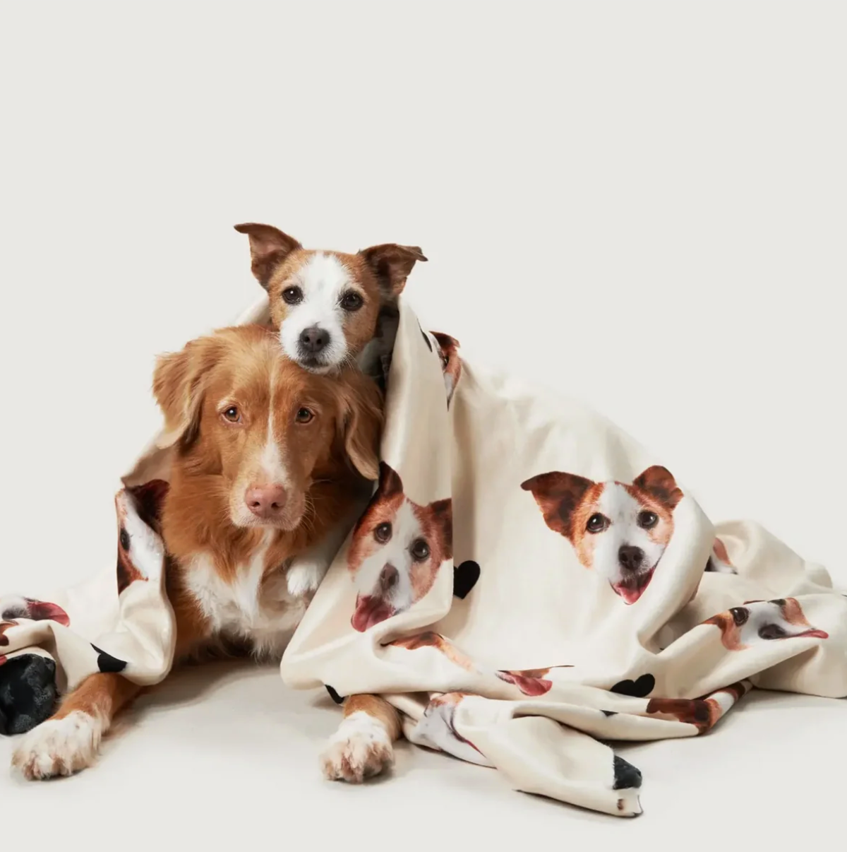 Couverture beige personnalisée à motifs de têtes d'animaux, enroulée autour de deux chiens.
