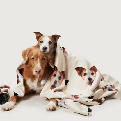 Couverture beige personnalisée à motifs de têtes d'animaux, enroulée autour de deux chiens.