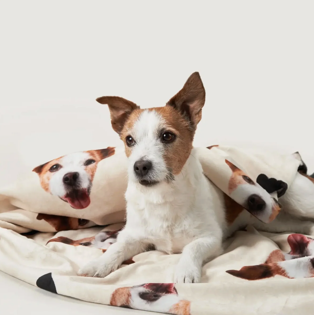Couverture personnalisée avec photos de chiens, fond crème et matière douce. Chien couché dessus.