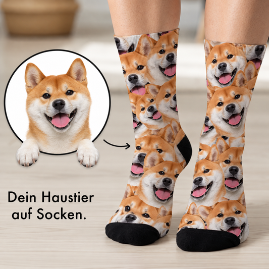 Chaussettes personnalisées avec motif photo de shiba inu sur fond blanc.