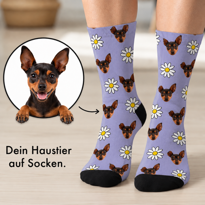 Chaussettes personnalisées avec fond violet, imprimées de têtes de chiens et de fleurs.