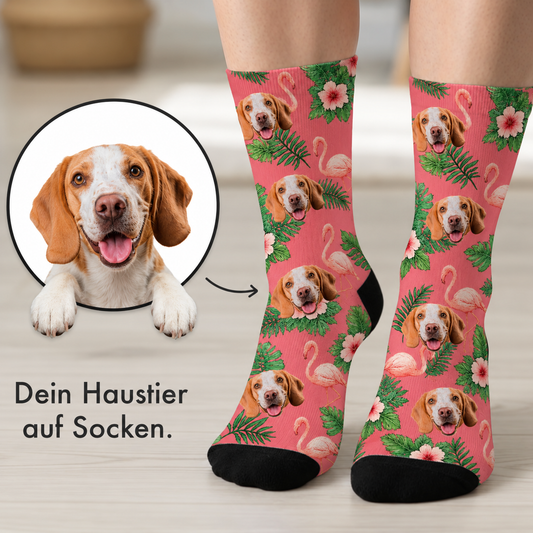Chaussettes personnalisées au design coloré de beagle, fond rose avec flamants roses et feuilles.