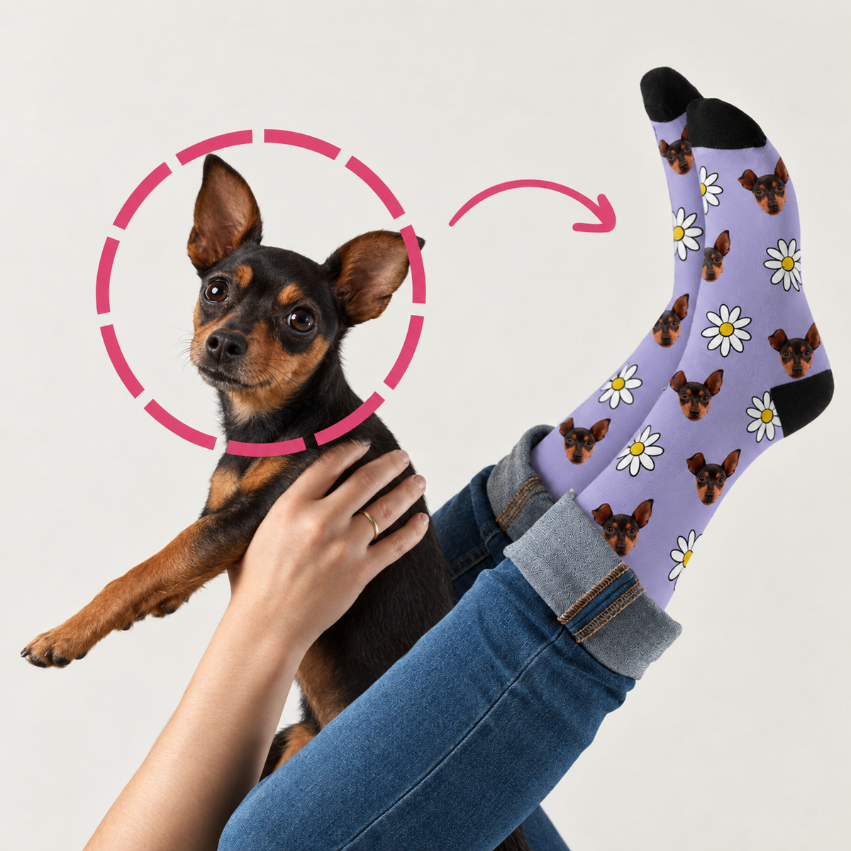 Chaussettes personnalisées avec motif de chien sur fond violet, avec un jean et un chien plein de vie.