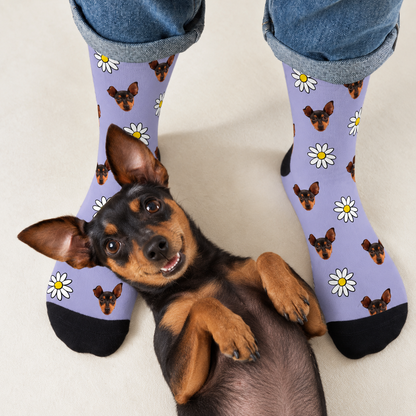 Chaussettes personnalisées à motif photo sur fond violet, avec un chien souriant par terre.