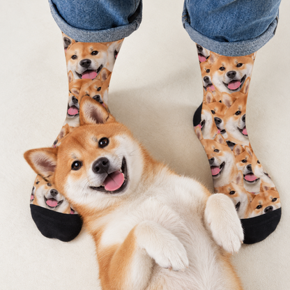 Chaussettes personnalisées avec motif photo de chiens souriants marron et noir. Un chien couché à côté.