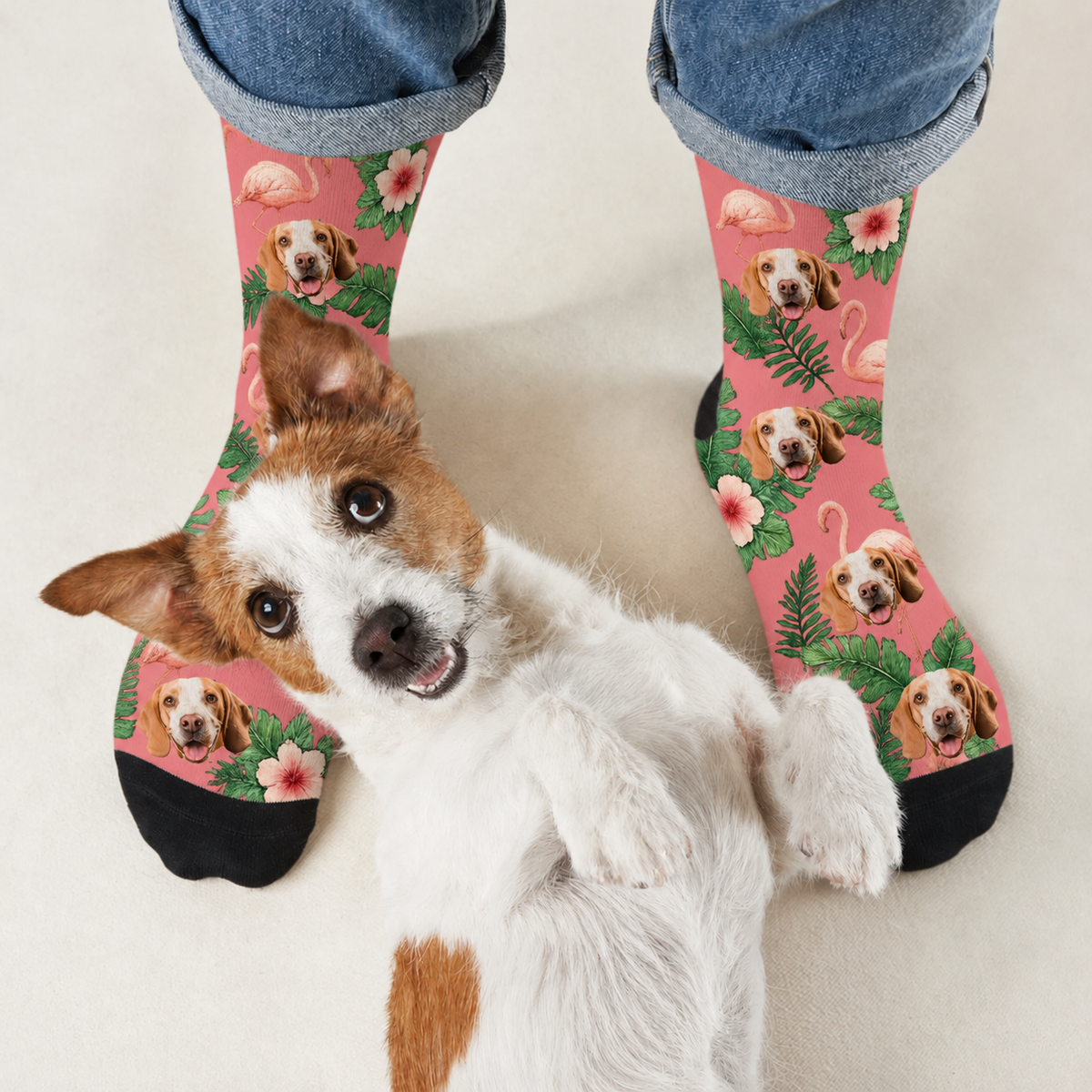Chaussettes personnalisées à motifs de chiens et flamants roses sur fond rose, finitions noires.