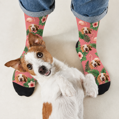 Chaussettes personnalisées à motifs de chiens et flamants roses sur fond rose, finitions noires.