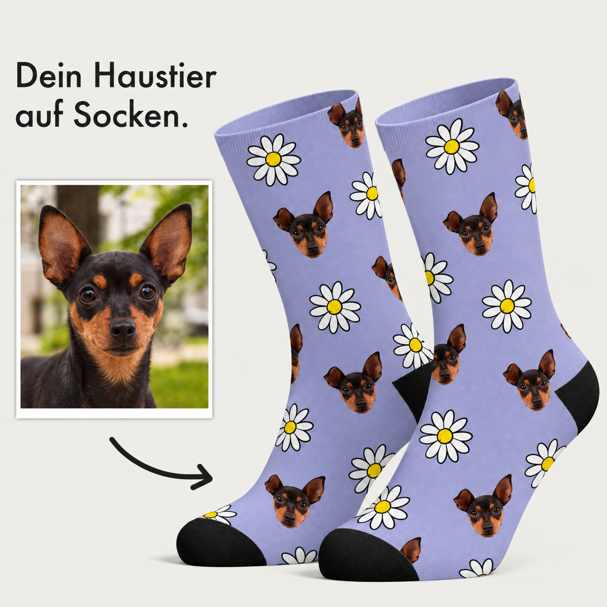 Chaussettes personnalisées avec fond violet, motif floral et têtes de chiens. Coton.