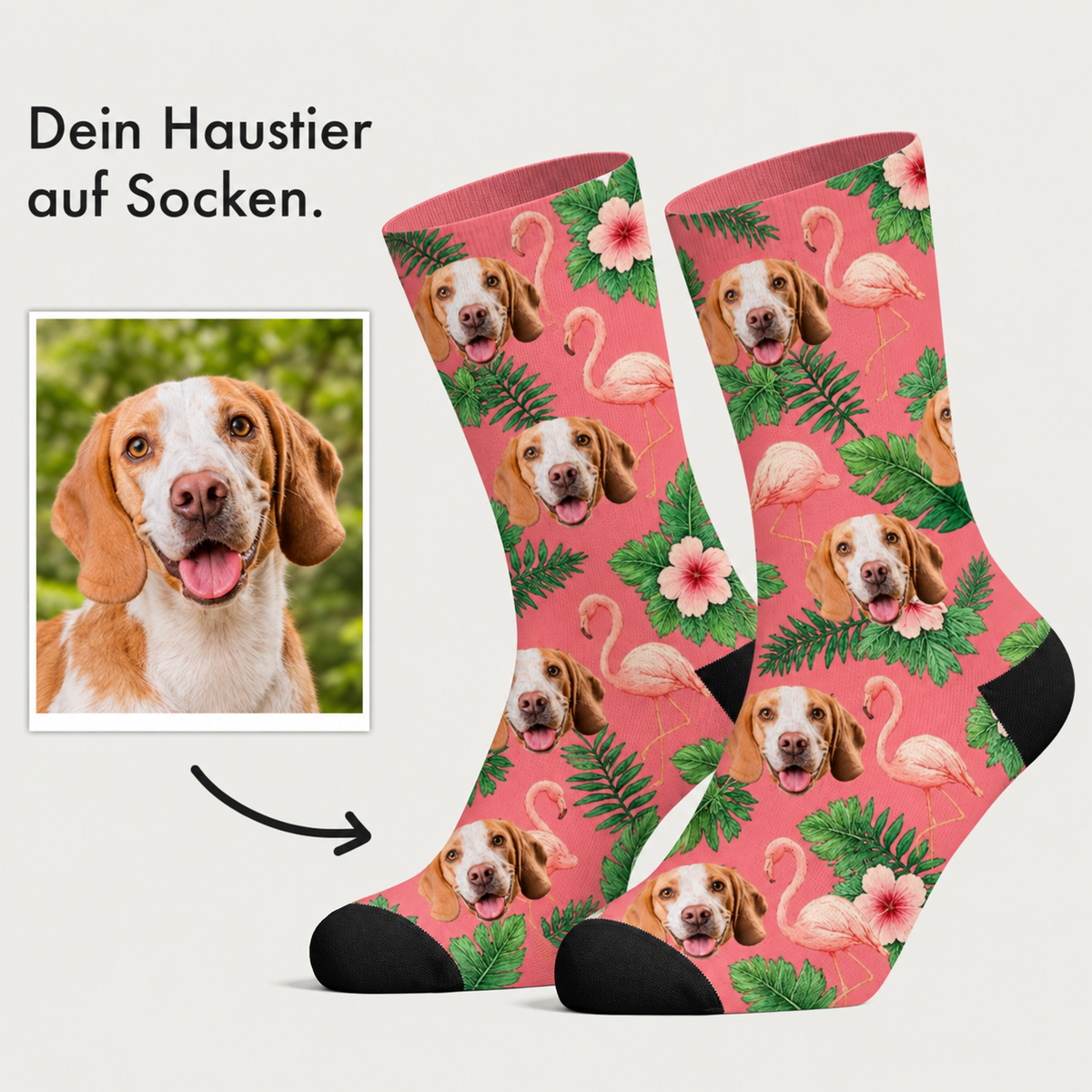 Chaussettes personnalisées avec motif de chien, fond rose et fleurs tropicales.