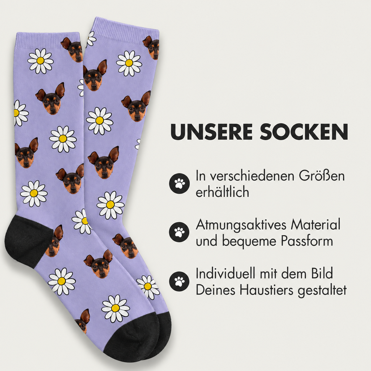 Chaussettes violettes à motifs de chiens et imprimé floral, respirantes et disponibles en plusieurs tailles.