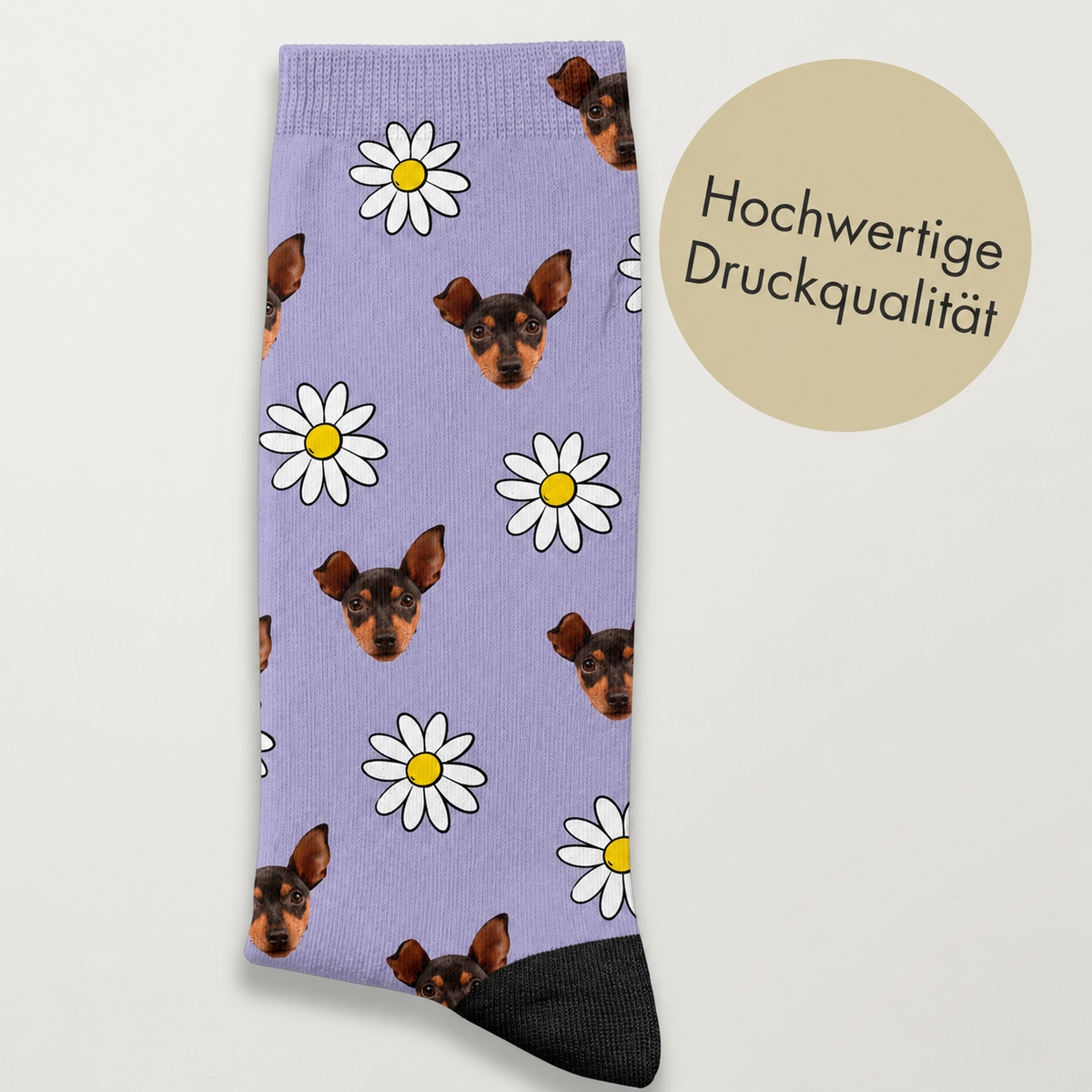 Chaussettes personnalisées violettes avec motif de chien et marguerites, impression de qualité.