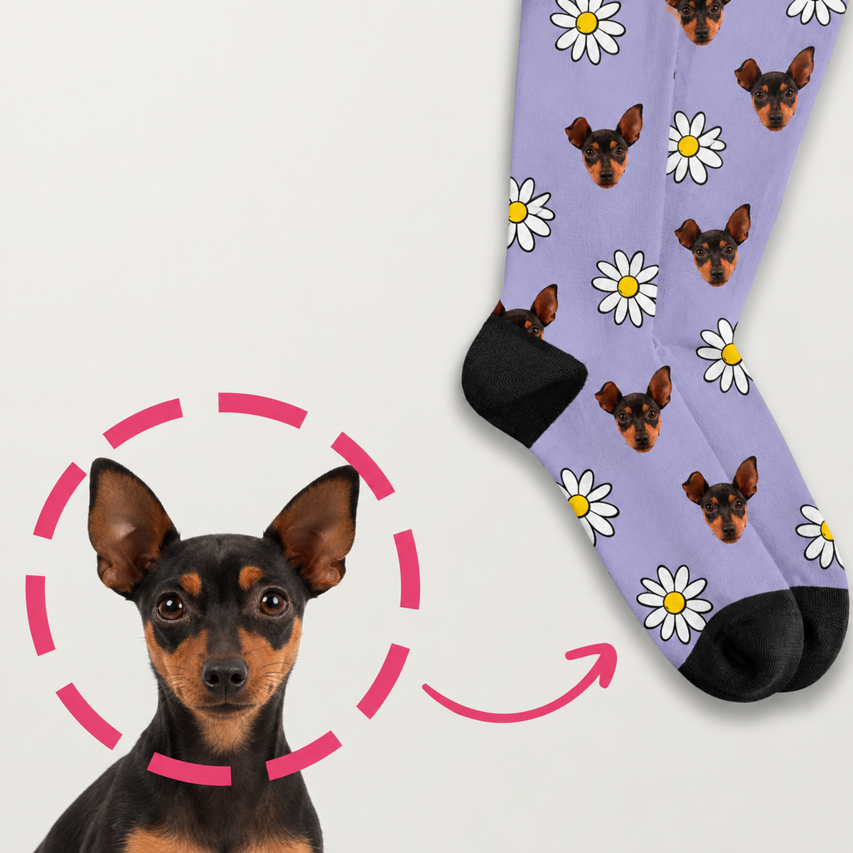 Chaussettes personnalisées avec fond violet, imprimées de chiens et de fleurs blanches.
