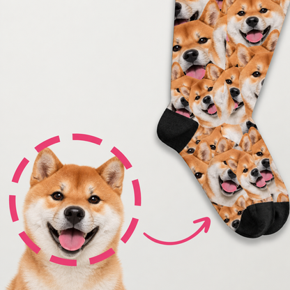 Chaussettes à motif photo coloré de chiens, pied côtelé noir et semelle noire.