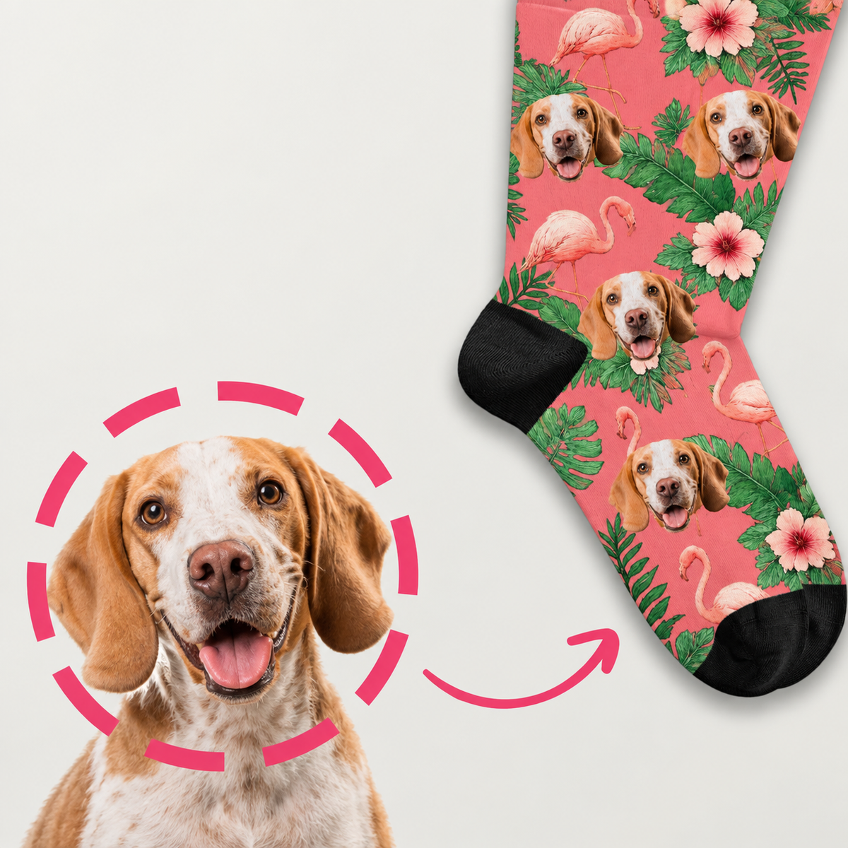 Chaussettes personnalisées à motif coloré d'oiseaux de paradis et de chiens. Motifs floraux colorés sur fond rose.
