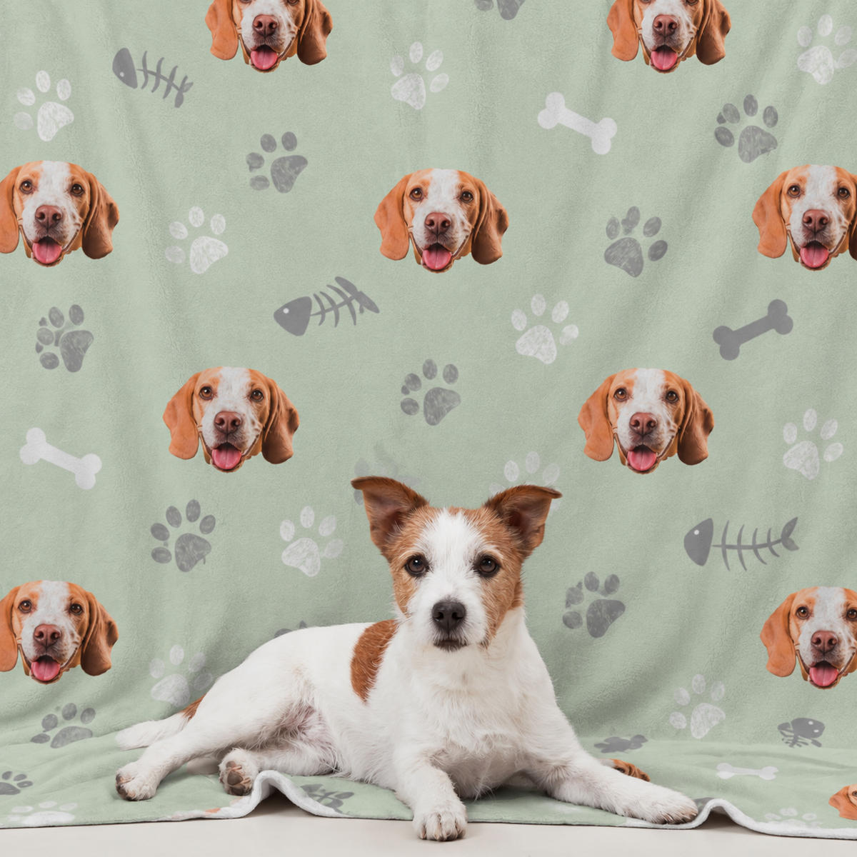 Couverture pour animal à fond vert et motifs de chiens, un animal au pelage clair couché devant.