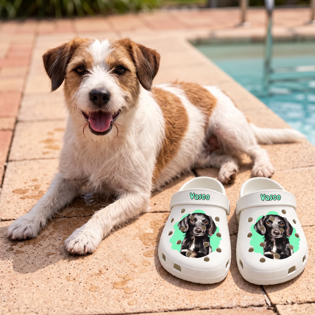 Sabots blancs personnalisés avec portrait de chien et touches vertes, sur un sol en pierre à côté d'un chien.
