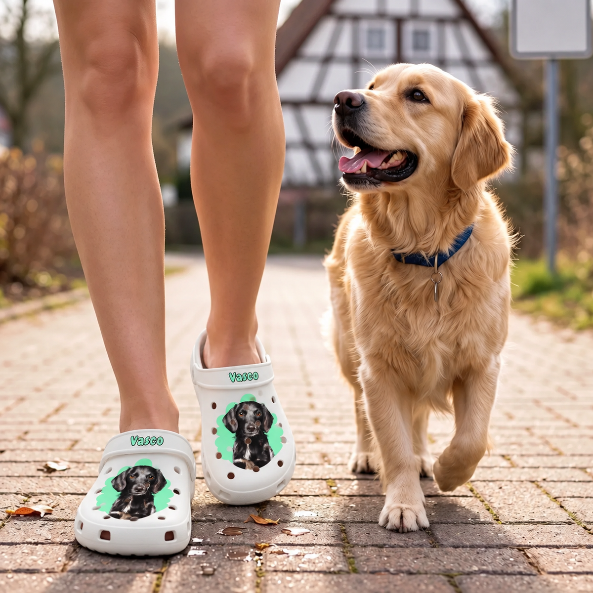 Personne portant des sabots blancs personnalisés avec portrait d'animal sur un chemin avec un golden retriever.